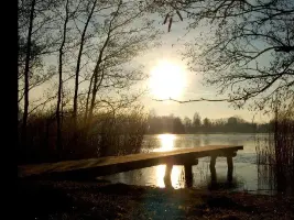 Afbeelding 1 groter tonen